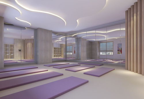 西安2017年精品月子會所效果圖展示