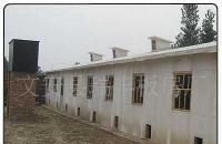 河北廊坊瑞豐保溫雞舍 防火保溫、耐酸堿，打造現代化養殖新標桿